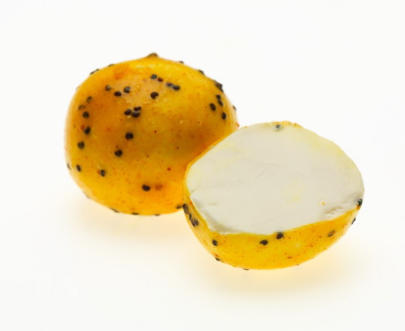 Fromage pavot curry_0002_WIKICELL.jpg