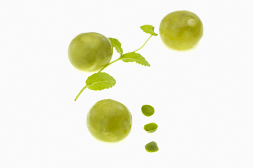 wiki fruit 2.jpg