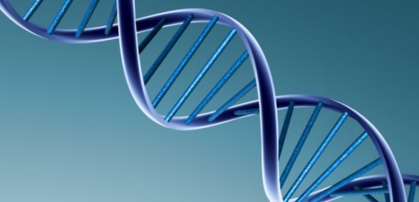 dna-588x284