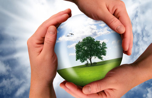 energy-sustainability21056