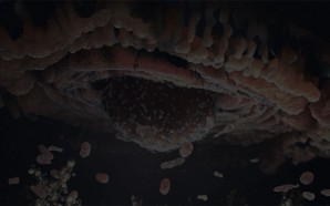 Untitled-1