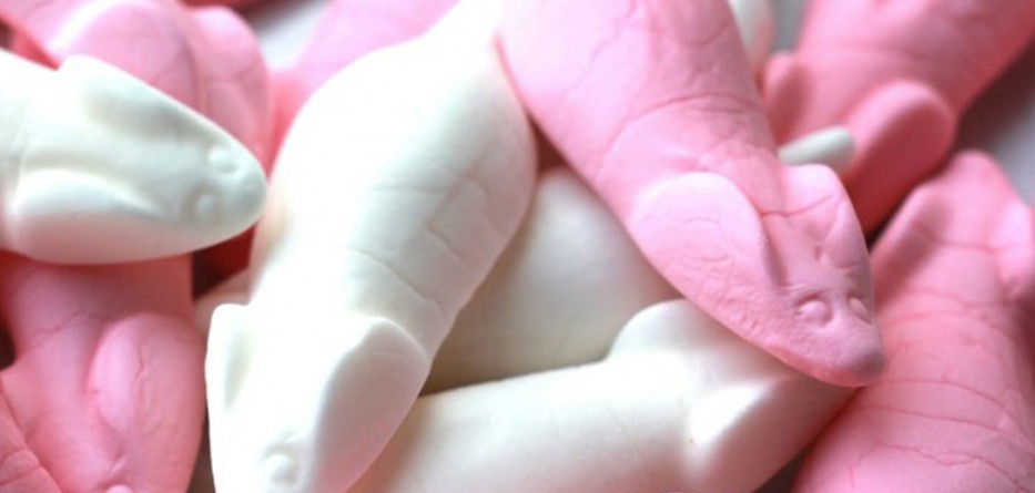 SugarMice_web_1024