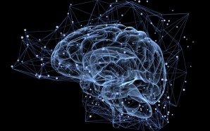 Brain_AP96115522-1024x576