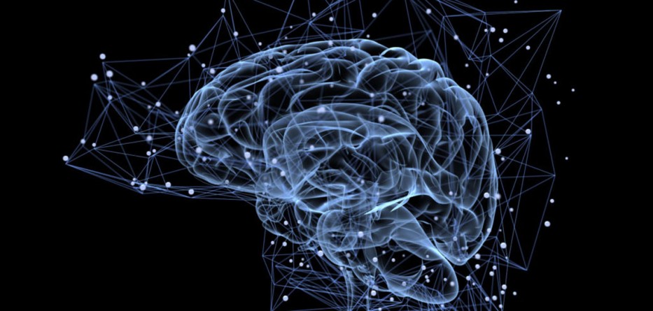 Brain_AP96115522-1024x576