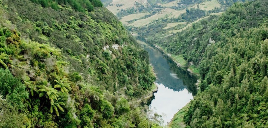 Whanganui-River-personhood-1580x542