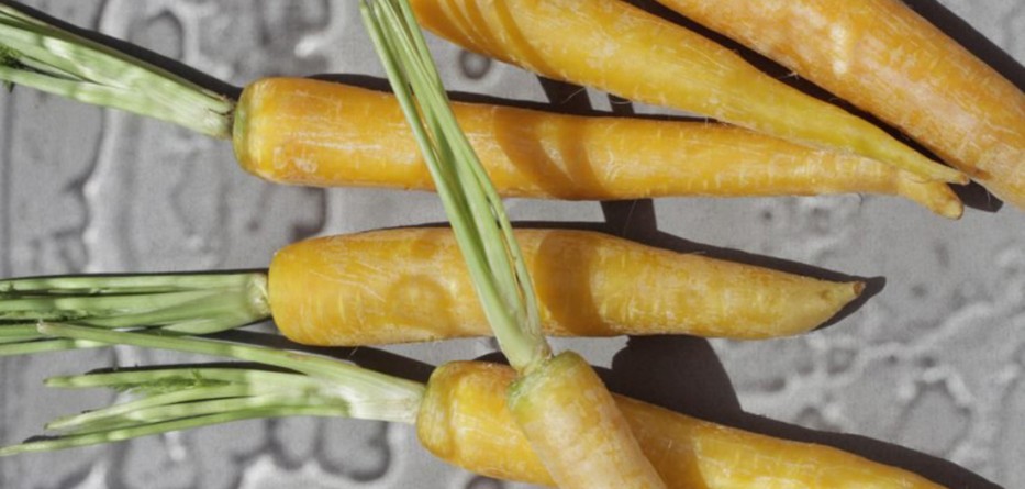 embassy-of-food-dutch-design-