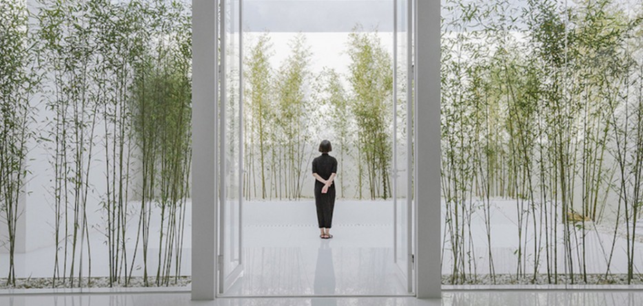 Bamboo-Forest-on-the-Roof