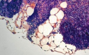 160112093545_1_540x360