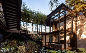 the-tepozcuautla-house-1