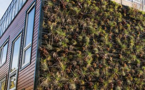 CHIBB-House-Rotterdam-Greenhouse-Karen-Steenwinkel-2-1580x399