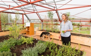 chibbhouse-greenhouse-home-13