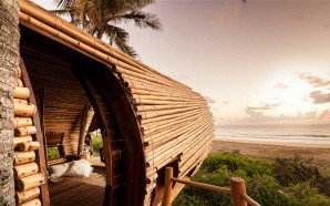 13_Treehouse_Perch_Entry_The_Cubic_Studio