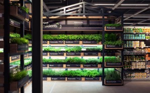 Albert-Heijn-XL-Help-yourself-Herb-Garden-by-studiomfd-Amsterdam-Netherlands
