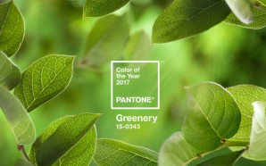 PANTONE_COY_2017_HeroShot-RGB-810x523