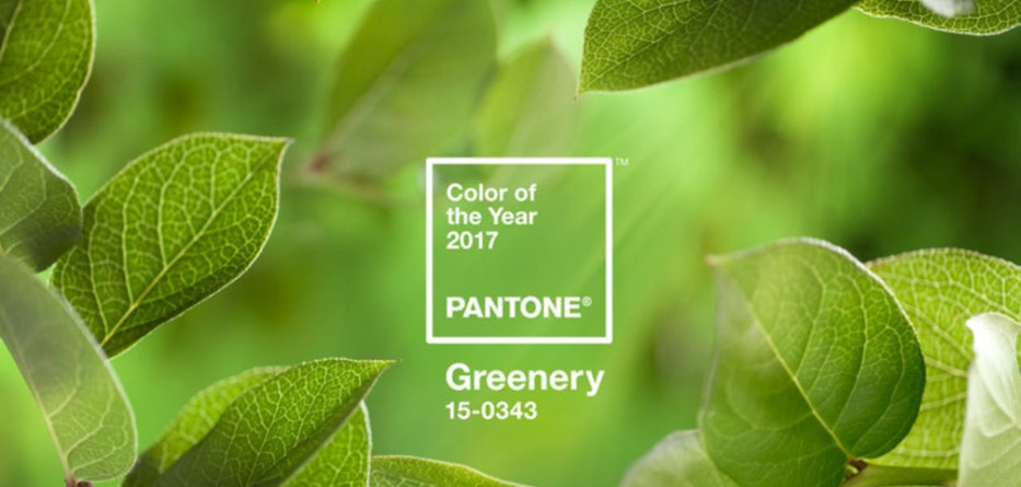 PANTONE_COY_2017_HeroShot-RGB-810x523