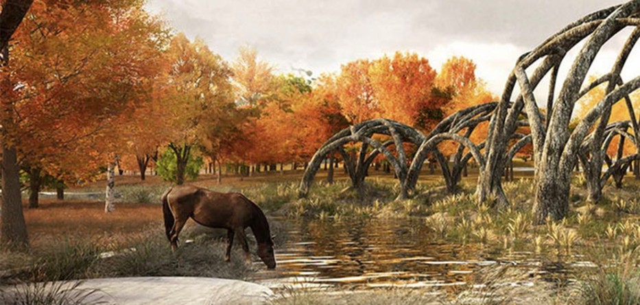 Regeneration-project-Greece