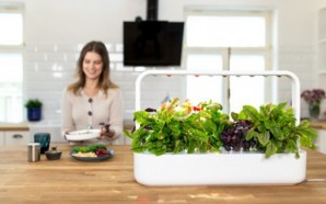 067a79a00feb186cff866bf385142fa2_original-500x334