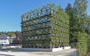 living-building