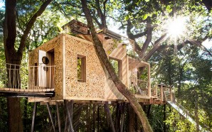 modern-treehouse-design-170117-1143-01