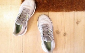 sub-buzz-23727-1482269727-1