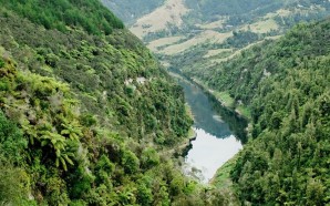 Whanganui-River-personhood-1580x542