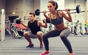 shutterstock_337161530_1024