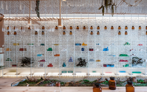 fullscreen_1499067633_30483676d5ea974d0c07263891de48d6