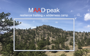 Screen-Shot-2017-08-25-at-9.09 (1)