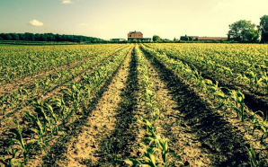 farmingmythswapo_1024