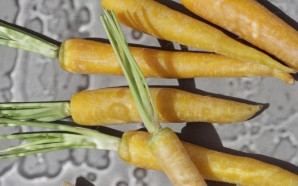 embassy-of-food-dutch-design-