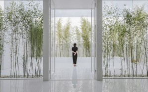 Bamboo-Forest-on-the-Roof