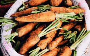 thomas-gamstaetter-787