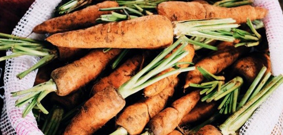 thomas-gamstaetter-787